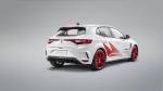 Renault Megane R.S. Trophy-R 2019 года (WW)